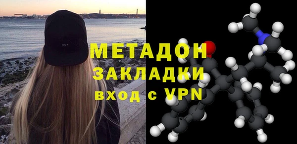 прущие грибы Саяногорск