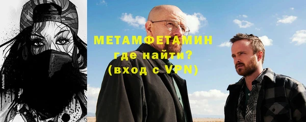 прущие грибы Саяногорск