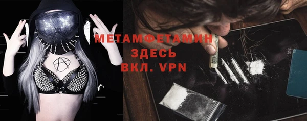 прущие грибы Саяногорск