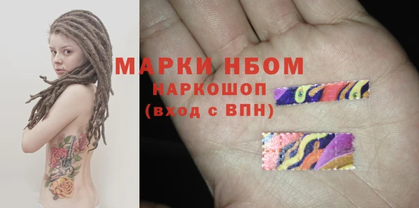 прущие грибы Саяногорск