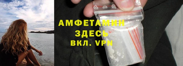 прущие грибы Саяногорск