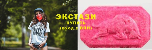 прущие грибы Саяногорск