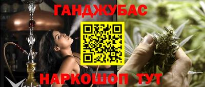 крисы Тула
