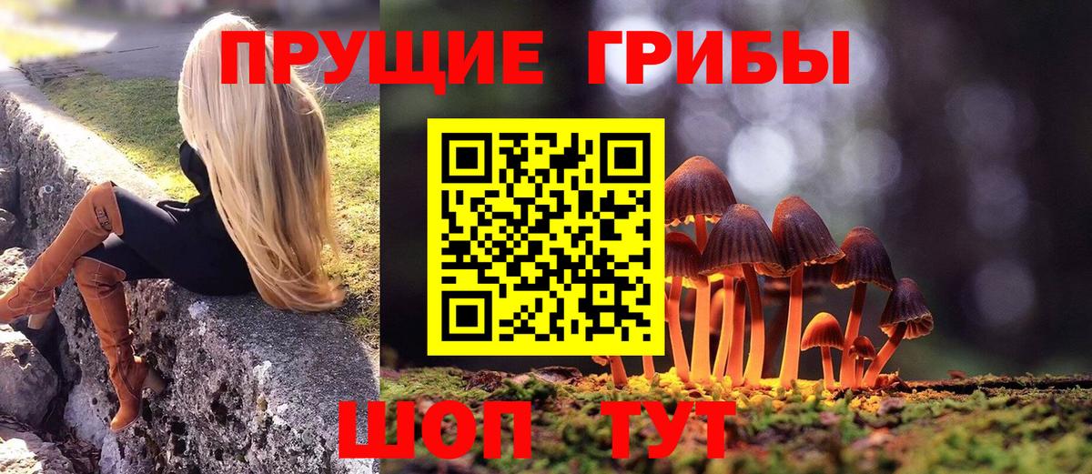 Ступино  Псилоцибиновые грибы MAGIC MUSHROOMS  Вход с VPN  Псилоцибиновые грибы мухоморы 